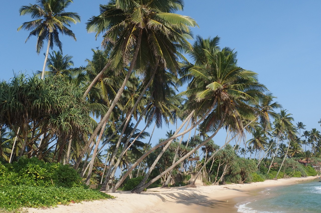 Visado Sri Lanka